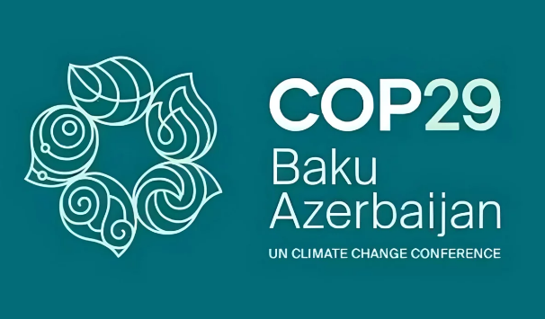 COP 29: Key Points and The Africa Agenda